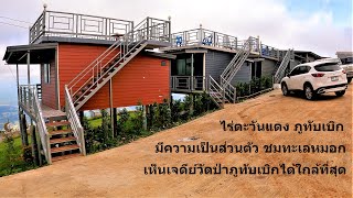 ภูทับเบิก - ไร่ตะวันแดง ที่พักมีความเป็นส่วนตัว ชมทะเลหมอก เห็นเจดีย์วัดป่าภูทับเบิกชัดที่สุด