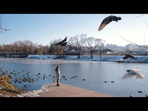 Видеопортрет