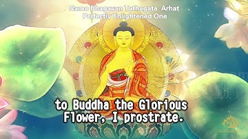 Thirty-Five Confessional Buddhas Repentance - Prostration Version