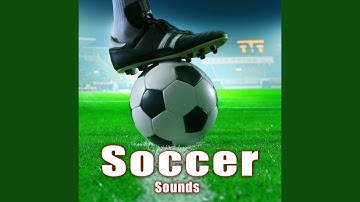 Kicking a Soccer Ball Right into the Net 4