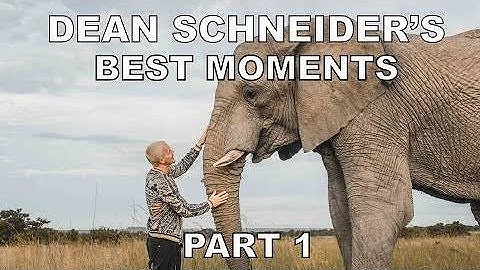 Best of Dean Schneider Compilation - Part 1