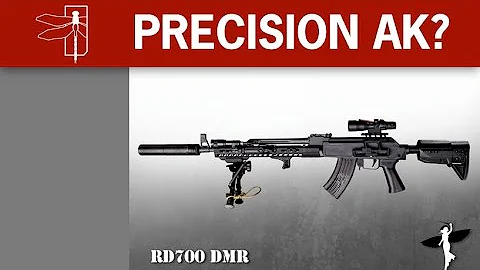 PRECISION AK?