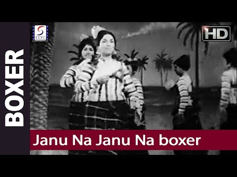 Janu Na Janu Na Lyrics in Hindi Boxer