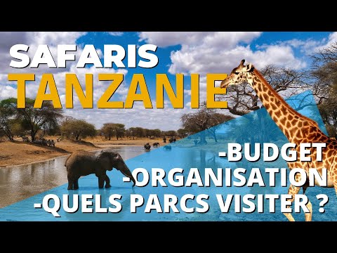 Safari en Tanzanie : conseils pour préparer votre séjour