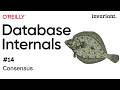 Balancing the essentials | Database Internals #14