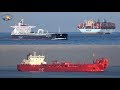 ROTTERDAM Port Shipspotting 2019 - Morning departures and arrivals