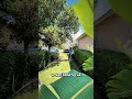 Think roof cleaning is optional?