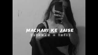 Tadpe jawani || machari ke jaise tadpe jawani - (slowed   reverb)