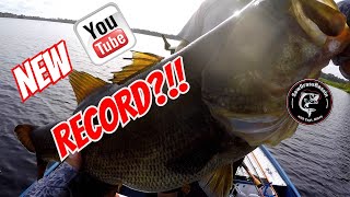 TINY TOY FISHING ROD catches GIANT TROPHY FISH!! New Dock Demon