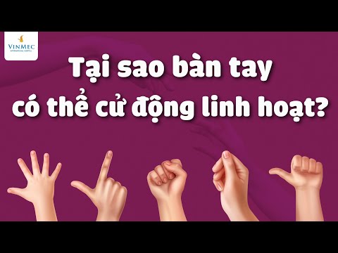 Video: Vị trí tay: cơ bản, trung gian, đang chuyển động. Vị trí của bàn tay khi động tác