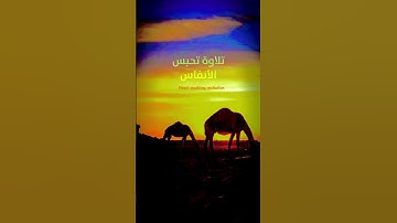 أَفَلَا يَنظُرُونَ إِلَى الْإِبِلِ كَيْفَ خُلِقَتْ ||سورة الغاشية Al-Ghashiya surah #قرآن #foryou