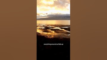 What If Gravity Reversed? 🤯 Objects Falling UP!   #gravity #science #space