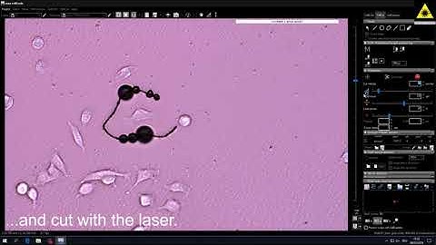 Isolating and re-growing living cells with laser microdissection