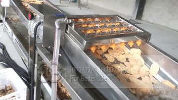 Commercial Use Cassava Chips Production Line From gelgoogm.com