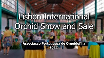 Lisbon International Orchid Show and Sale // APO 2022