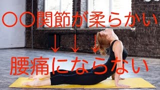 【腰痛 原因】〇〇関節が柔らかい人→腰痛にならない？