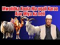 Mwolidka Xoola Ma Uqali Karaa Ajar Miya Ka Heli Sh Shibli Mwolidka Xoola Ma Uqali Karaa Ajar Miya Ka Heli Sh Shibli