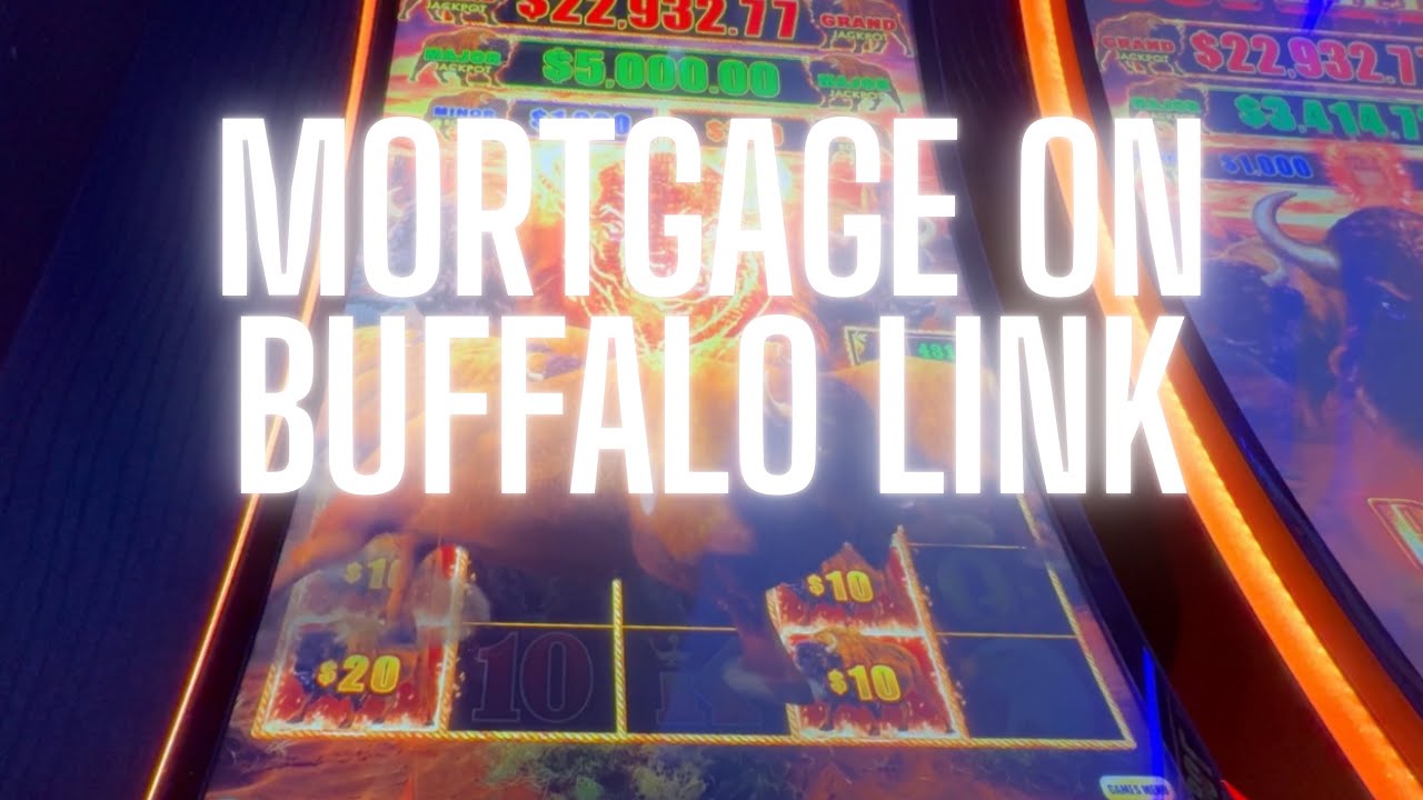 $20 Bets Almost Cost Us the Mortgage! Buffalo Link Slot Chaos