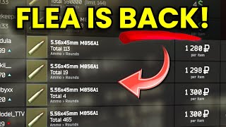 Tarkov Patch 0.16.9 - PvE REF Is Here & The Flea Returns!