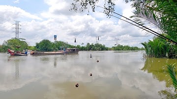 ✅ Bãi câu cá thiên nhiên Sông Sài Gòn new | Câu cá bằng lăng xê độ | DUY FISHING