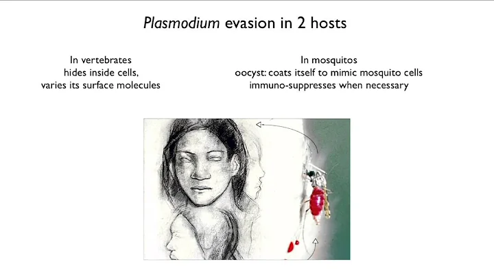5.2 Pathogen Evolution: Evasion of Host Defenses