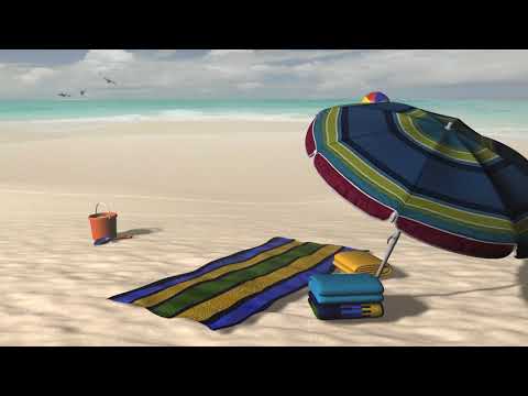 Canal 79 -
