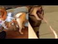 Dog Farts Cat Pukes !!!🤮 LOL - Cats And Dogs Reaction To Fart 🤣 | Chris Pets