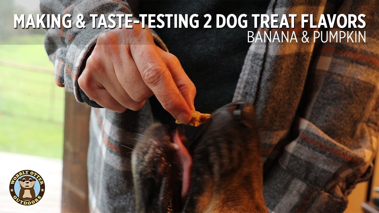 Making & TasteTesting Dog Treats Banana and Pumpkin Flavors YouTube