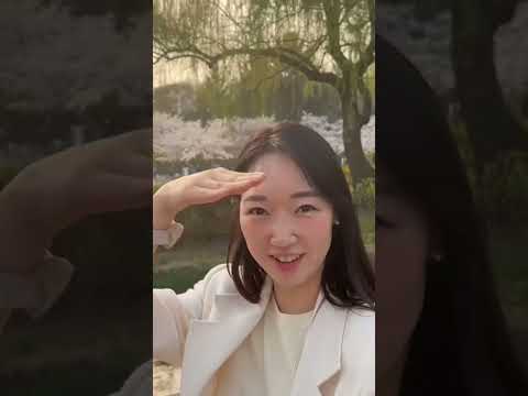 벚꽃