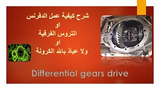 كيف يعمل الدفرنس او التروس الفرقية او الكرونة .. How differential drive gears work?