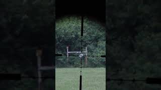 17 hmr 200 yard