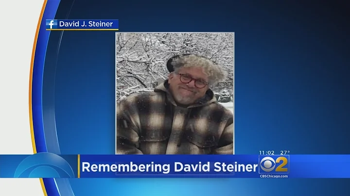 Documentary Filmmaker David Steiner Killed In Bus ...