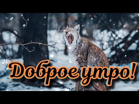 ❄❄❄ДОБРОЕ УТРО! ХОРОШЕГО ДНЯ!❄❄❄