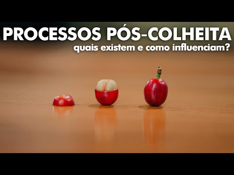 Vídeo: Como As Sementes São Descascadas