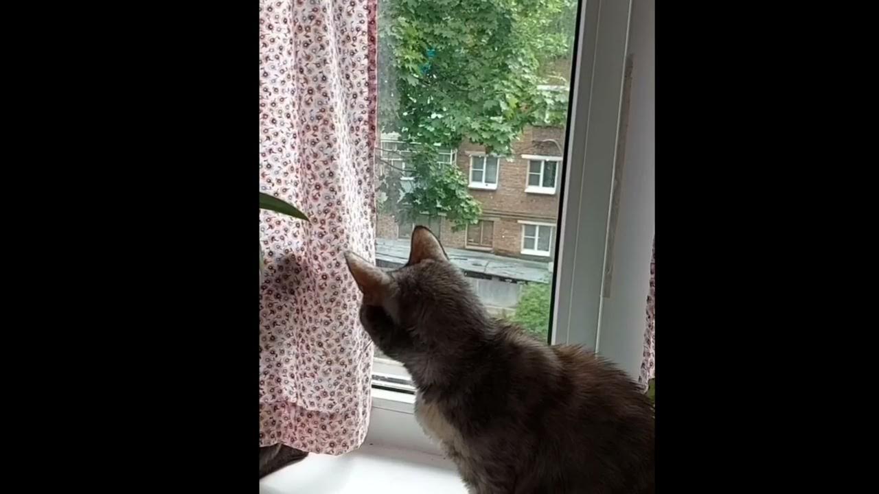 Выходи играть - YouTube