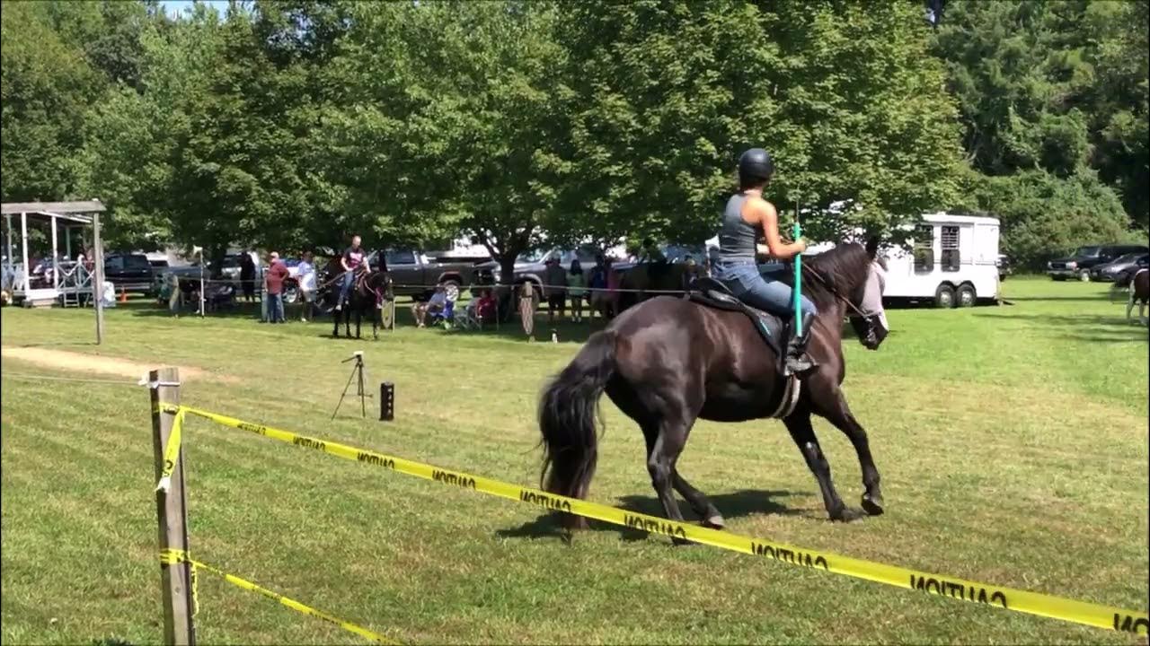 The state sport of maryland jousting youtube