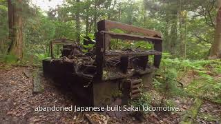 Jomon Sugi Ancient Cedars! Walk Japan&#39;s Anbo Forest Railway on remote Yakishima Island 安房りんてつ 安房森林軌道
