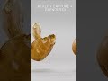 Photoscanned Boletus Mushroom // RealityCapture + Blender 3D