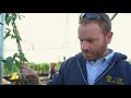 Sierra Gold Nurseries - presents Ellepot Airtays Technology