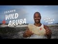 Aruba Local Tips: Secret Swimming Holes, Authentic Food and More!
