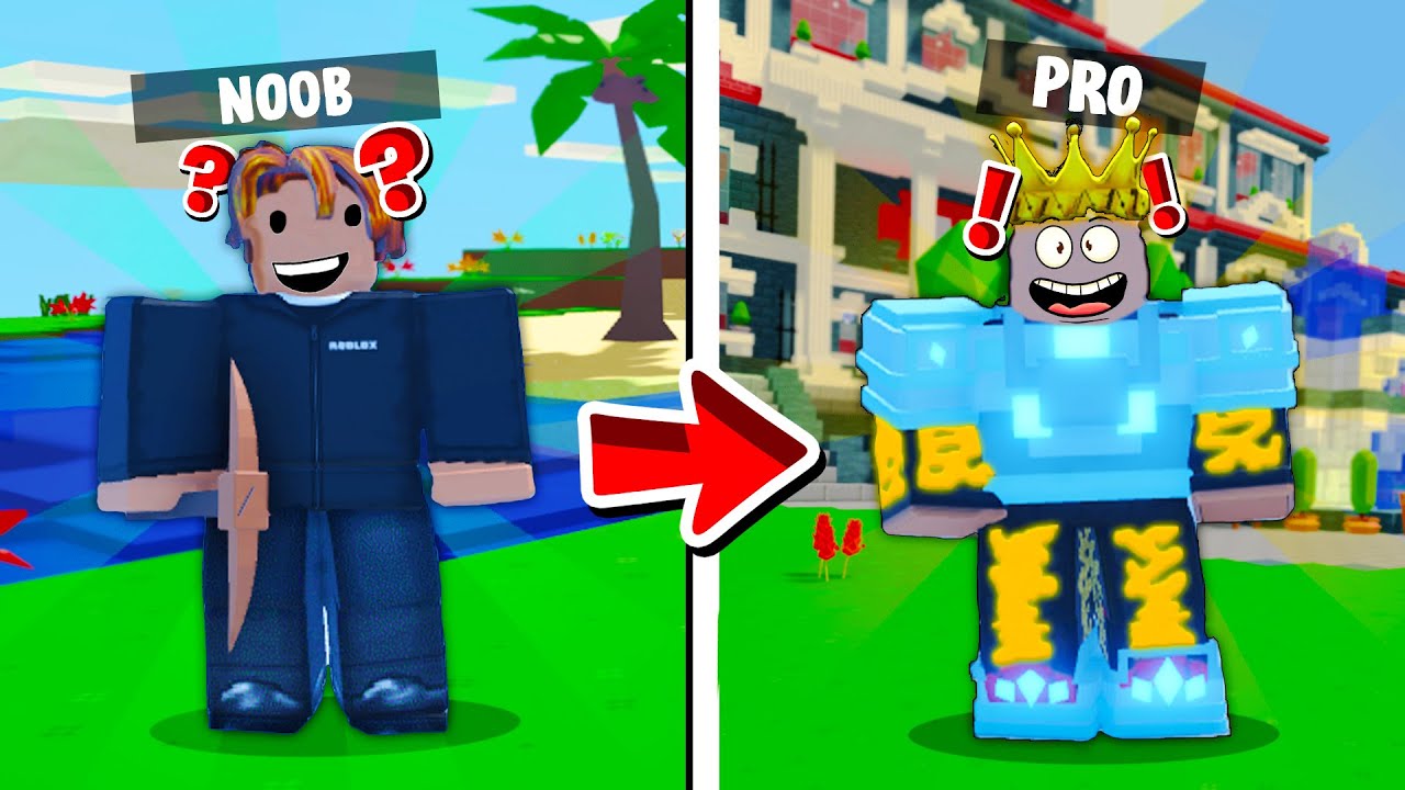 PRO IN THE ROBLOX