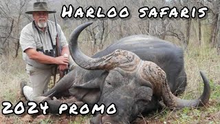 Harloo Safaris Promo Movie - 2024 - BEST BUFFALO HUNTING