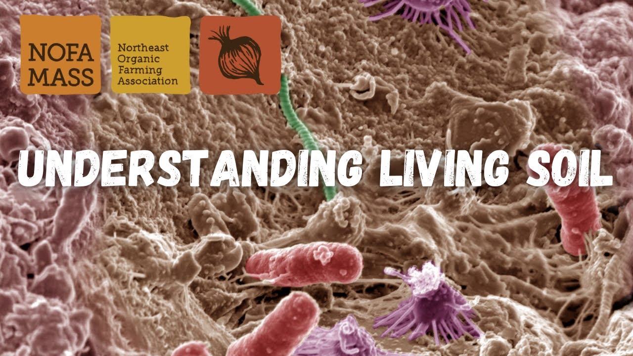 Understanding Living Soil with Monique Bosch (Resilient Garden Series)