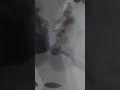 الملك فيصل و الشيخ زايد