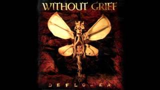 Without Grief - Shallow Grave
