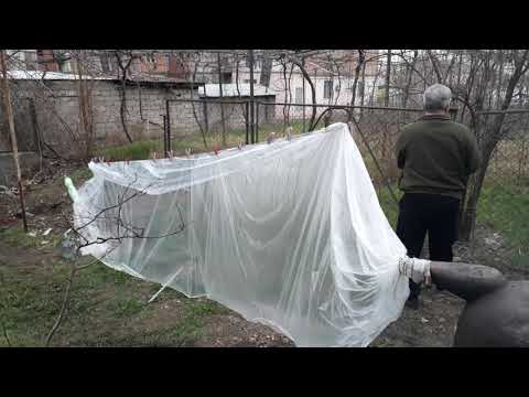 არყის გამოხდა მეთოდი პარკი