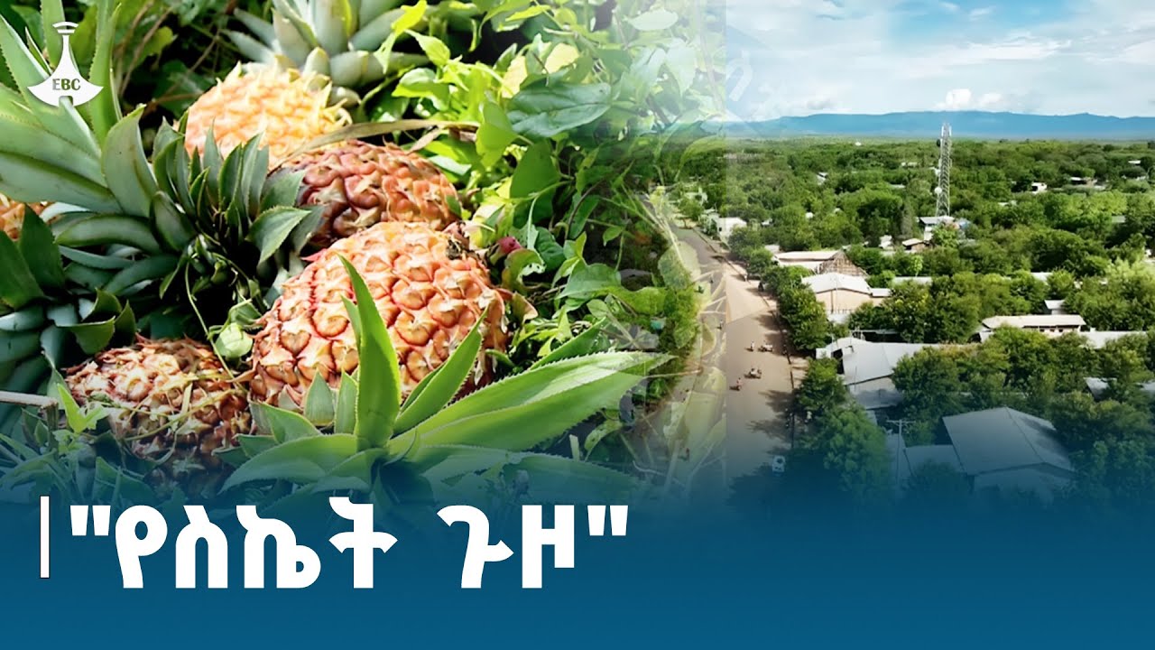 መስኖና ቆላማ አካባቢ ሚኒስቴር አለኝታ  ፕሮግራም |