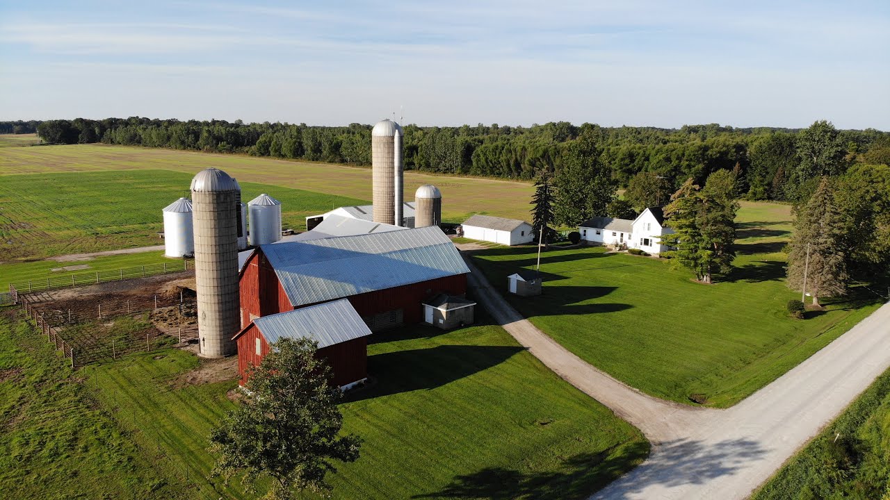 Patterson Farms YouTube