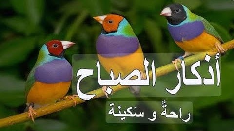 أذكار الصباح || راحة نفسية لا توصف بصوت القارئ علاء عقل | Morning Athkar - Dzkir Pagi