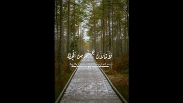 تلاوة هادئة للقارئ عبد الرحمن مسعد ❤️               أكتب شيء تؤجر عليه #القرآن_الكريم #شورت